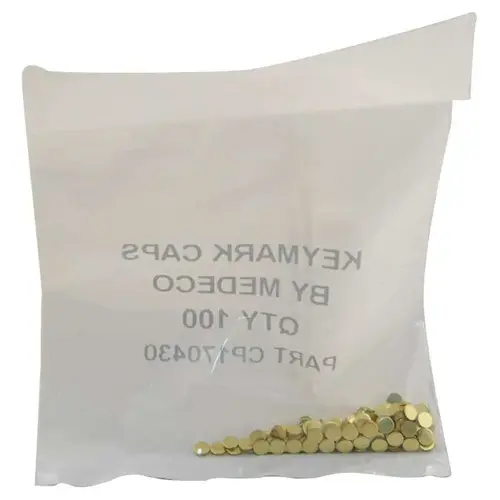 100/pk Medeco X4 I/C Pin Spring Caps-Stamped 100/pk Medeco X4 I/C Pin Spring Caps-Stamped