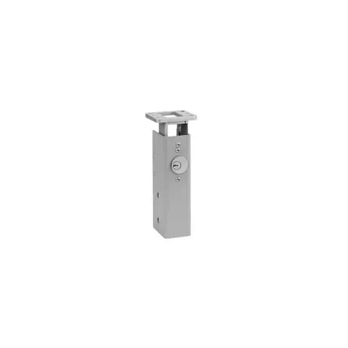 KR4954 Keyed Removable Steel Mullion 7'6", Aluminum Painted KR4954 Keyed Removable Steel Mullion 7'6", Aluminum Painted