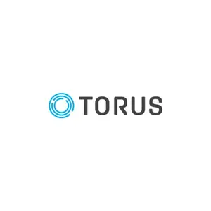 Torus TRS-S-20-001 Spare Control Unit