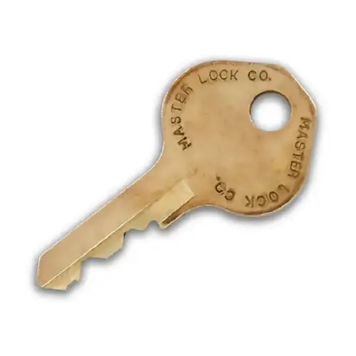 Padlock Control Key