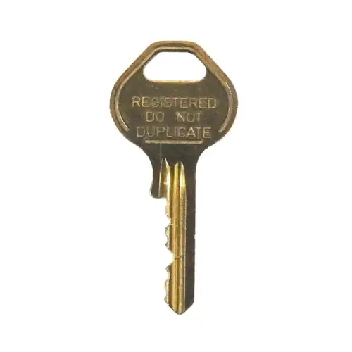 Padlock Control Key