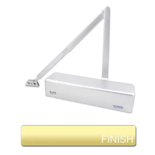 900 SERIES DOOR CLOSER ADJUSTA Gold Painted