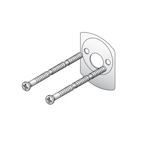 Rim cylinder Backplate
