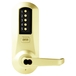 Bright Brass