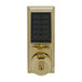 Bright Brass