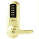 Bright Brass