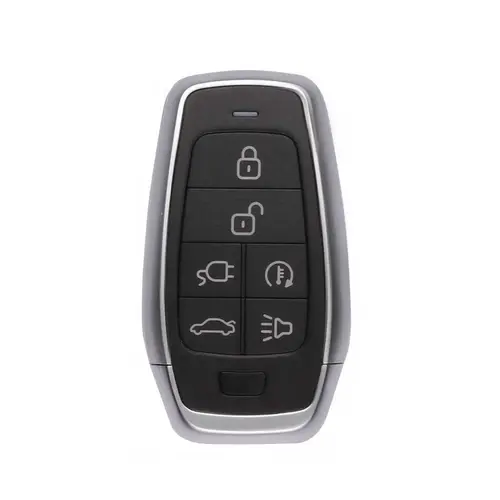 MaxiIM IKEY Programmable Smart Key