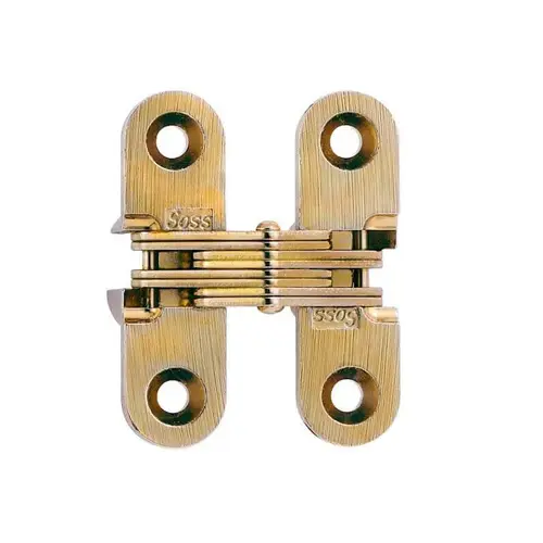 Model 203C Invisible Hinge