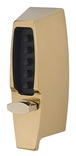 Bright Brass