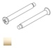 Bright Brass