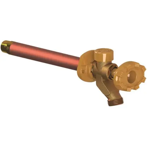 1/2 in. x 3/4 in. FPT x MPT x 12 in. L Freezeless Anti-Rupture Sillcock