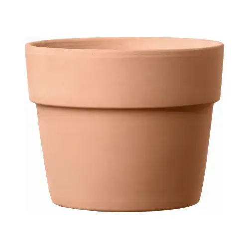 Terracotta Clay Planter, White, 5.1 In.