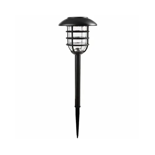 Solar Stake Lights, Black Metal Cage, Bubble Glass Lens pair