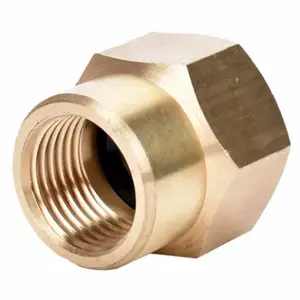 ZHEJIANG HONGCHEN IRRIGATION 50019 Threaded Pipe To Hose Connector, Brass, Double Female 1/2 NPT x 3/4-In. NH