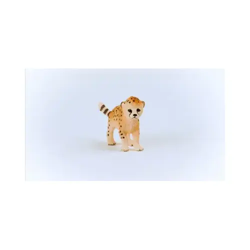 Cheetah Cub Cheetah Cub