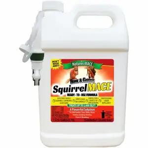 Nature's Mace SQUIRTU9003 Squirrel Mace Repellent, All Natural, 1 Gallon RTU Spray