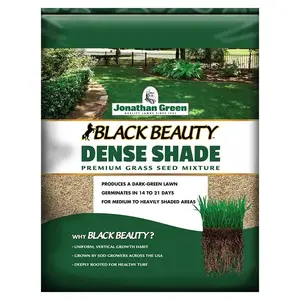 JONATHAN GREEN TURF 10622 Black Beauty Grass Seed, 1 lb Bag