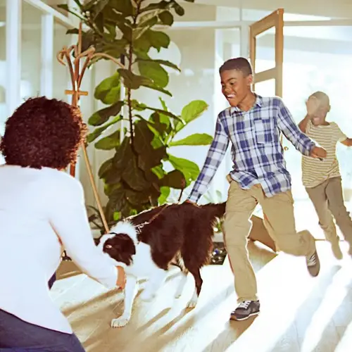 Washable Air Filter, 30 in L, 20 in W, 90 % Filter Efficiency, White - pack of 2 Washable Air Filter, 30 in L, 20 in W, 90 % Filter Efficiency, White - pack of 2