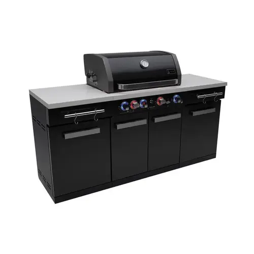 Grill 4 Burner Natural Gas/Propane Black/Silver Black/Silver Grill 4 Burner Natural Gas/Propane Black/Silver Black/Silver