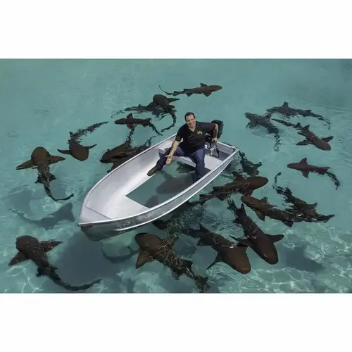 Waterproof Repair Tape FLEX TAPE 12" W X 10 ft. L Gray Gray Waterproof Repair Tape FLEX TAPE 12" W X 10 ft. L Gray Gray