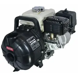 PACER PUMPS, DIV. OF ASM IND SE2UL E5HCP S Utility Pump, 5.5 HP Gas Engine, 200 GPM, 2 In. NPT