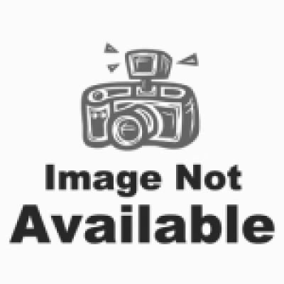 TRUE VALUE APPLICATORS 30032202 Better Flat Paint Brush, Synthetic Blend, 3 In.