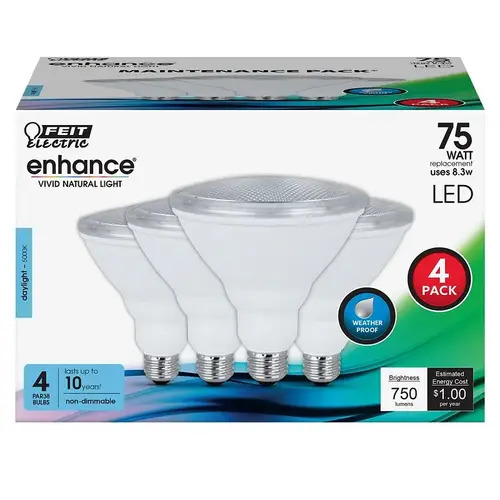 LED Bulb Enhance PAR38 E26 (Medium) Daylight 75 Watt Equivalence Daylight LED Bulb Enhance PAR38 E26 (Medium) Daylight 75 Watt Equivalence Daylight