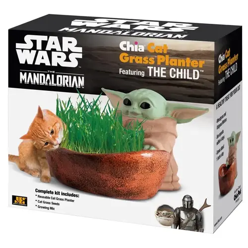 Decorative Planter Star Wars Terracotta Clay Multicolored