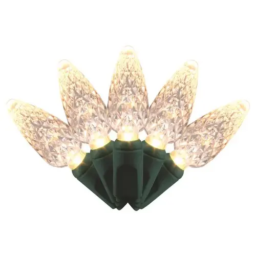 Christmas Lights Platinum LED C6 Warm White 50 ct String 25 ft. Christmas Lights Platinum LED C6 Warm White 50 ct String 25 ft.