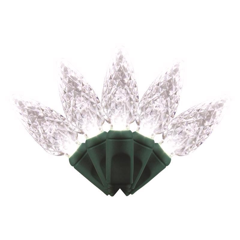 Celebrations C650PWA Christmas Lights Platinum LED C6 Pure White 50 ct String 25 ft.