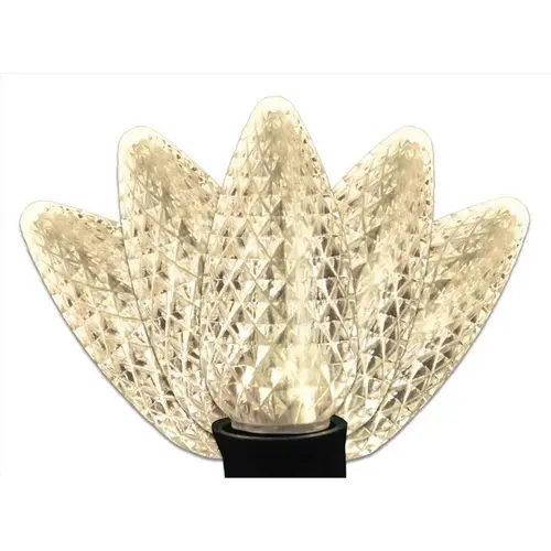 Christmas Lights Platinum LED C9 Warm White 25 ct String 25 ft. Sparkle Christmas Lights Platinum LED C9 Warm White 25 ct String 25 ft. Sparkle