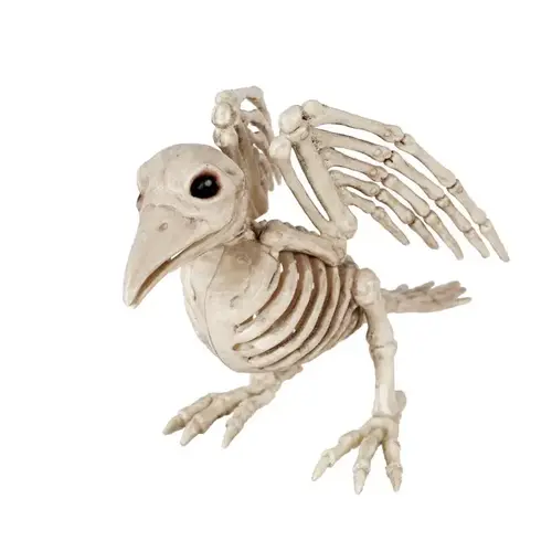 Halloween Decor Bird Skeleton Halloween Decor Bird Skeleton