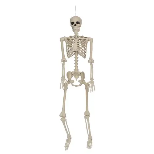 Halloween Decor 5 ft. Skeleton Halloween Decor 5 ft. Skeleton