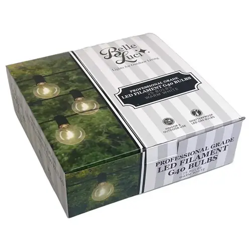 LED Replacement Bulb Holiday Bright Lights G40 Single Filament Warm White 2" 25 lights