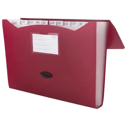 File Organizer 9.75" H X 13" W Assorted Assorted File Organizer 9.75" H X 13" W Assorted Assorted