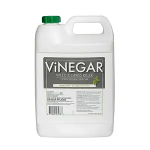 ENERGEN 578 Sanco Vinegar Series Weed and Grass Killer, Liquid, Colorless, 1 gal