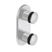 Polished Stainless Steel