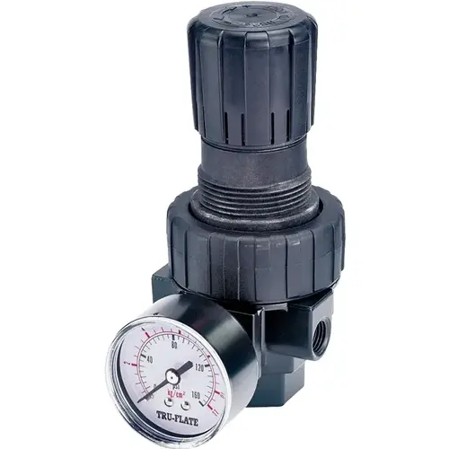 3/8 In. FNPT 250 PSI 65 CFM Compact Pressure Regulator 3/8 In. FNPT 250 PSI 65 CFM Compact Pressure Regulator