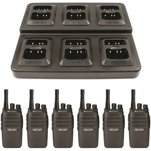 BR200X6BGC Biztalk Bundle Pack, 6 BR200's with Gang Charger