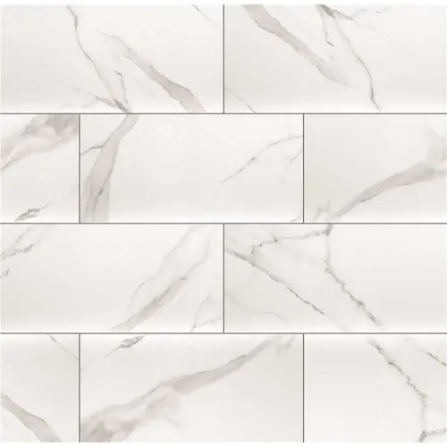 Dymo Statuary White Glossy 12 in. x 24 in. Glazed Wall Ceramic Tile (16 sq. ft./Case) Dymo Statuary White Glossy 12 in. x 24 in. Glazed Wall Ceramic Tile (16 sq. ft./Case)
