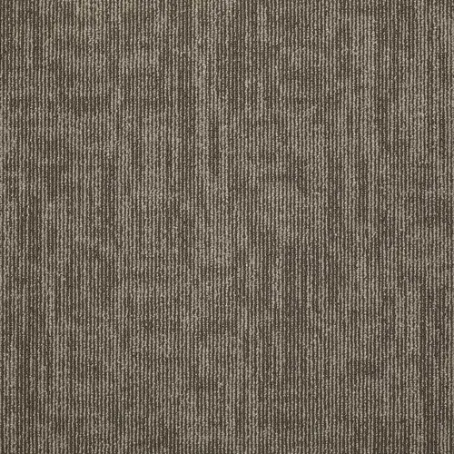 Graphix Brown Residential 24 in. x 24 Glue-Down Carpet Tile (12 Tiles/Case) 48 sq. ft Honey Wind - pack of 12 Graphix Brown Residential 24 in. x 24 Glue-Down Carpet Tile (12 Tiles/Case) 48 sq. ft Honey Wind - pack of 12