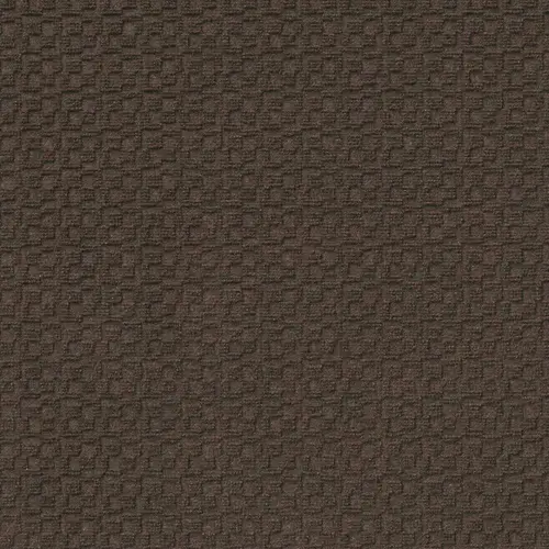 First Impressions Brown Commercial 24 in. x 24 Peel and Stick Carpet Tile (15 Tiles/Case) 60 sq. ft Rustic - pack of 15 First Impressions Brown Commercial 24 in. x 24 Peel and Stick Carpet Tile (15 Tiles/Case) 60 sq. ft Rustic - pack of 15