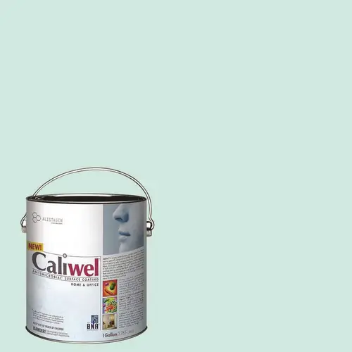 1 gal. Green Latex Interior Paint FLAT