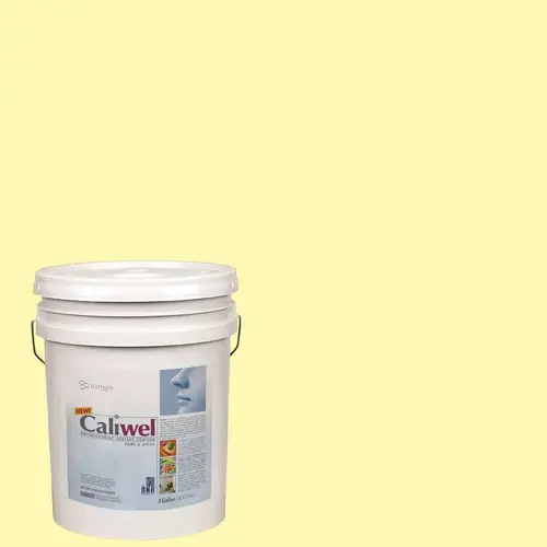 CALIWEL BNA ANTIMICROBIAL LATEX INT PAINT YELLOW 5 GAL FLAT
