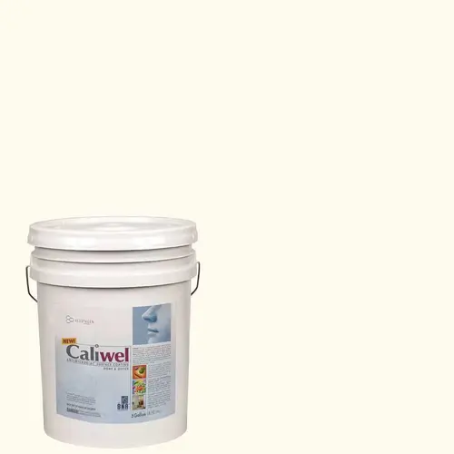 5 gal. Off White Latex Interior Paint FLAT