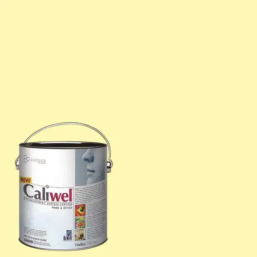 1 gal. Caliwel BNA Antimicrobial Latex Interior Paint Yellow FLAT