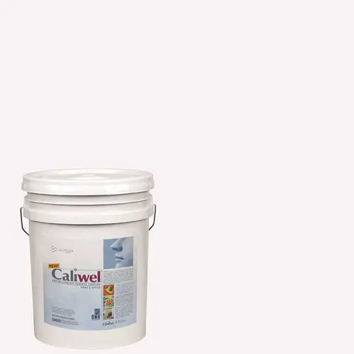 5 gal. Gray Latex Interior Paint FLAT