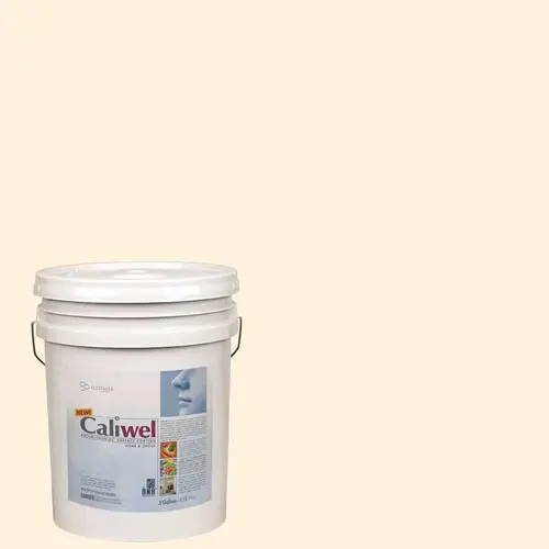 5 gal. Beige Latex Interior Paint FLAT