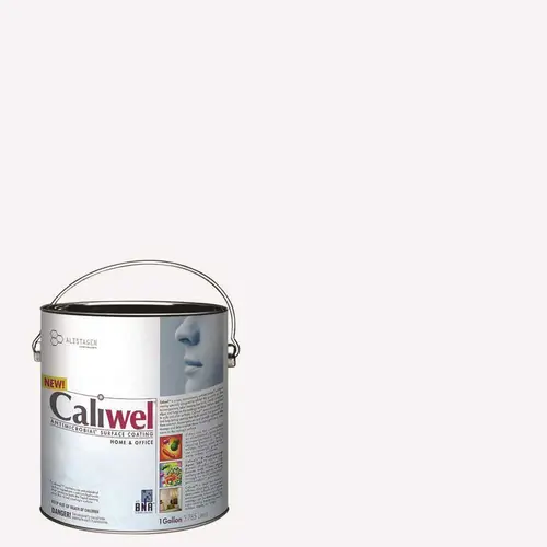 1 gal. Gray Latex Interior Paint FLAT
