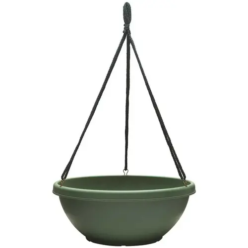 ROLLED RIM HB, FERN - pack of 12 ROLLED RIM HB, FERN - pack of 12